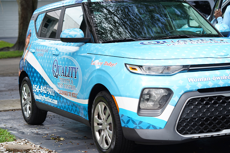 Call Pest Control COmpany for Fast Service