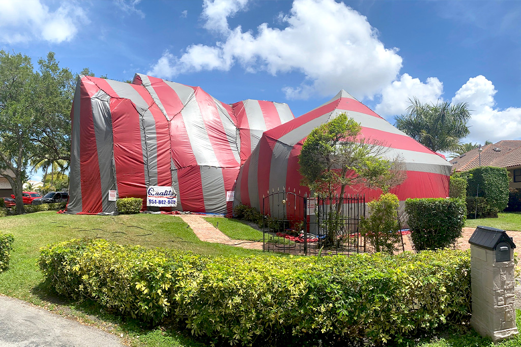 termite tent fumigation
