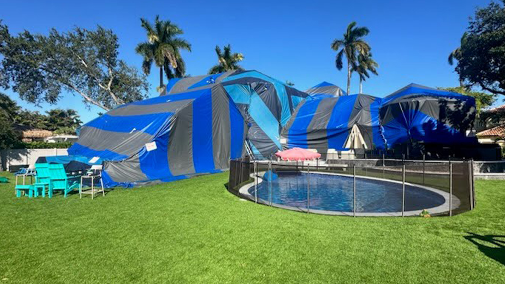 Termite Pest Control Company in Fort Lauderdale