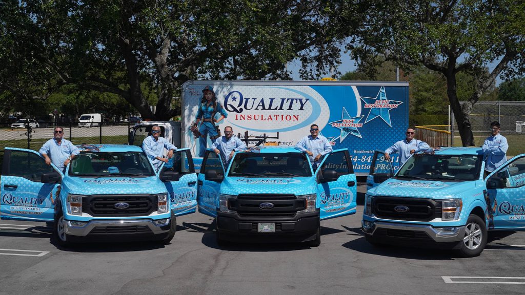 Termite Company in Plantation | Pest Control