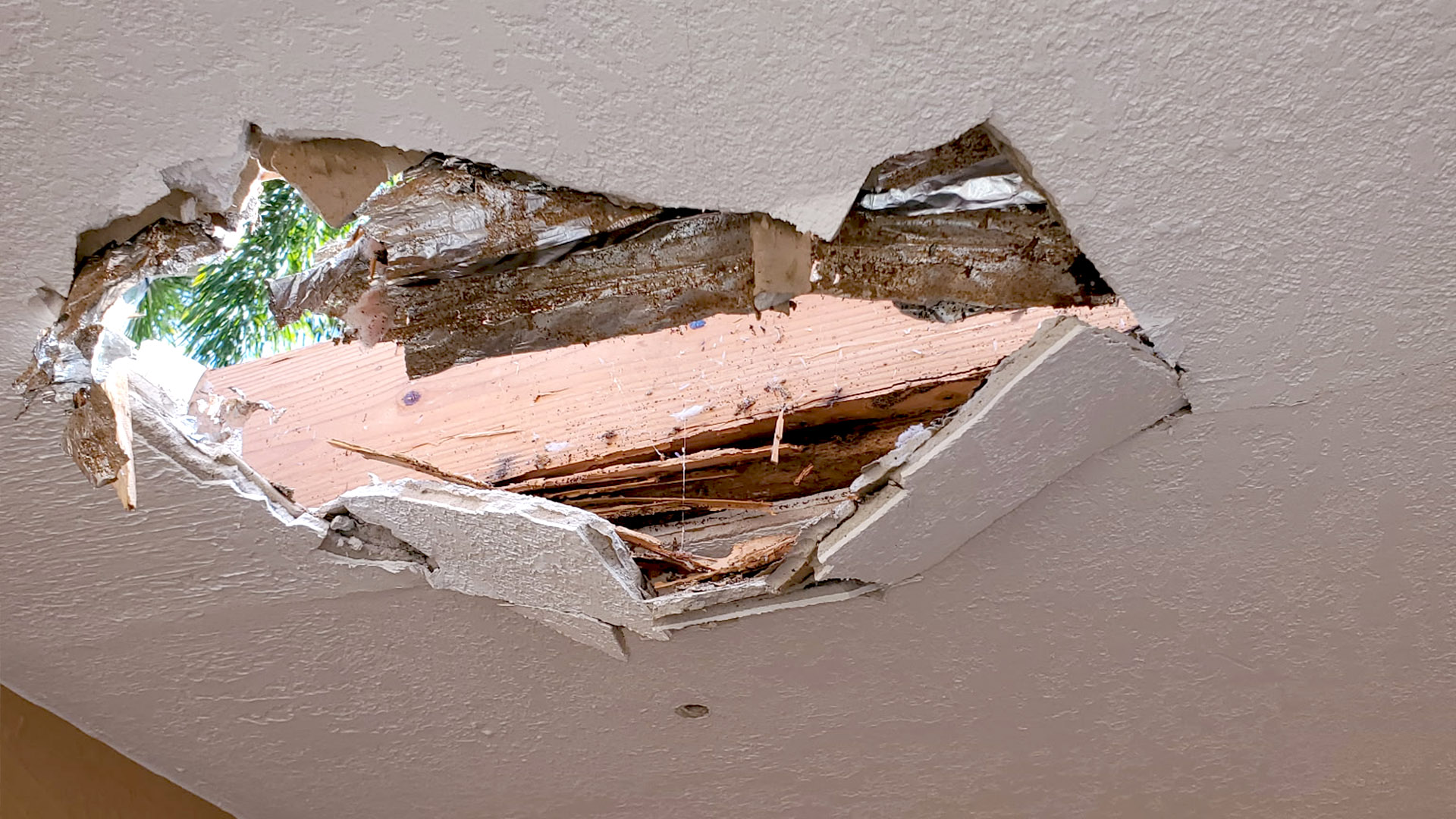 Termite roof damage in South Florida House
